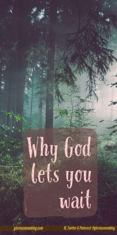 Why God lets you wait: Ever wonder why God lets us go through trials? Or why it takes so long for an answer to your prayers? Read more at gloriousmomblog.com